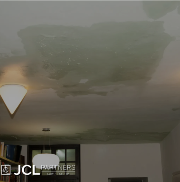 bd466b2dda821992d790909a6601c812_1778549229_8126.png
